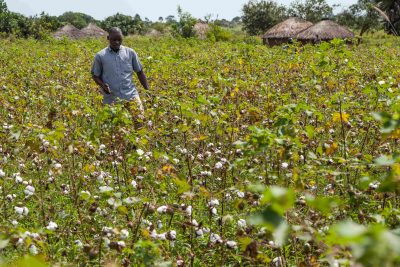 kleiner UG_Farmergroup_1_Atiak_141208_84 crowdfunding crowdfunding Where Does It Come From? African Tunics